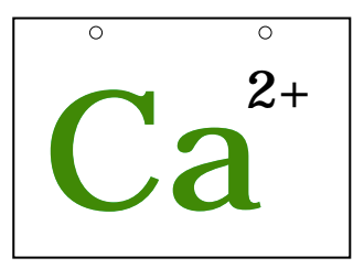 Bond with a Classmate&nbsp;Activity