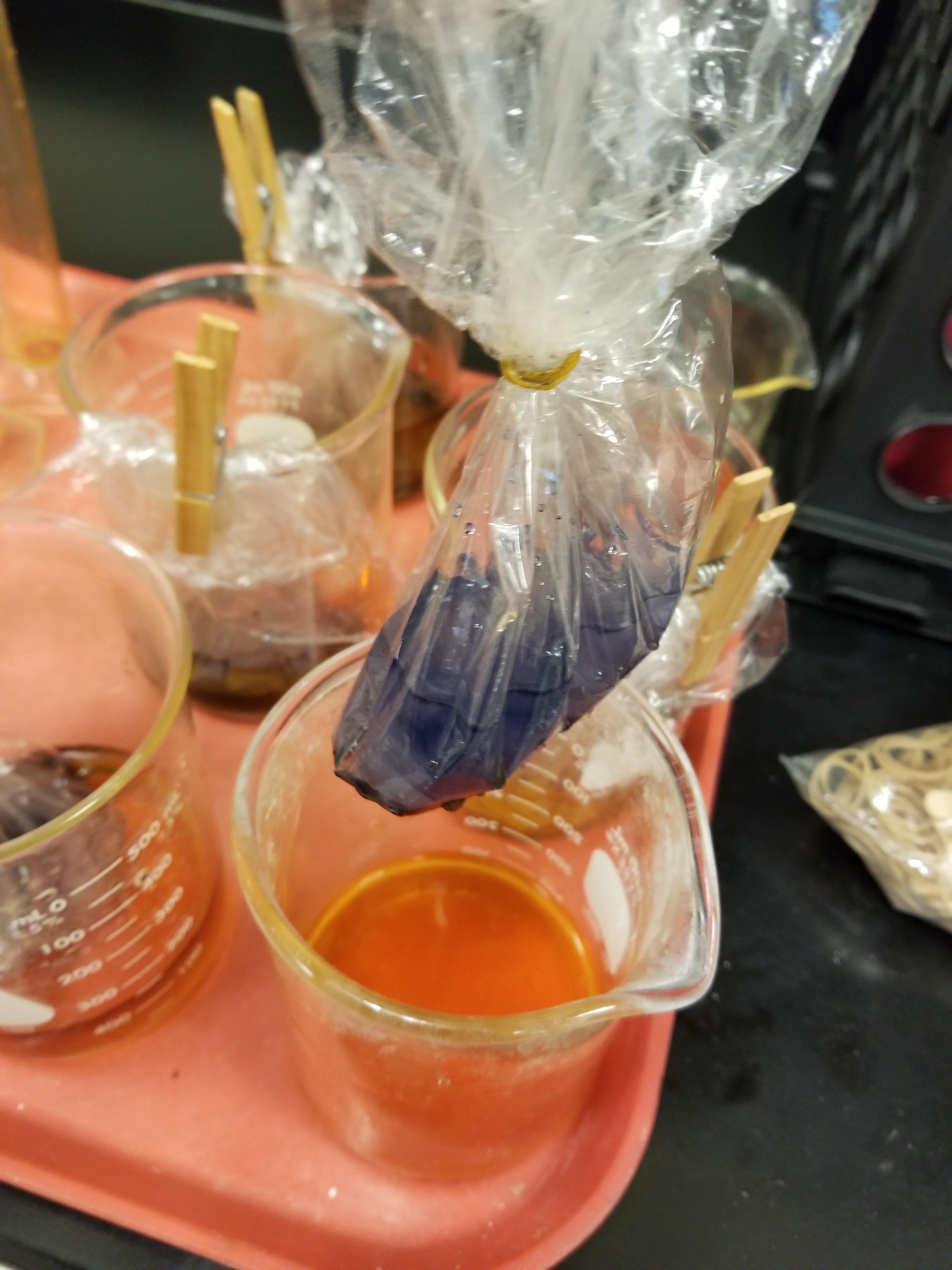 20181005_103154 – Middle School Science Lessons