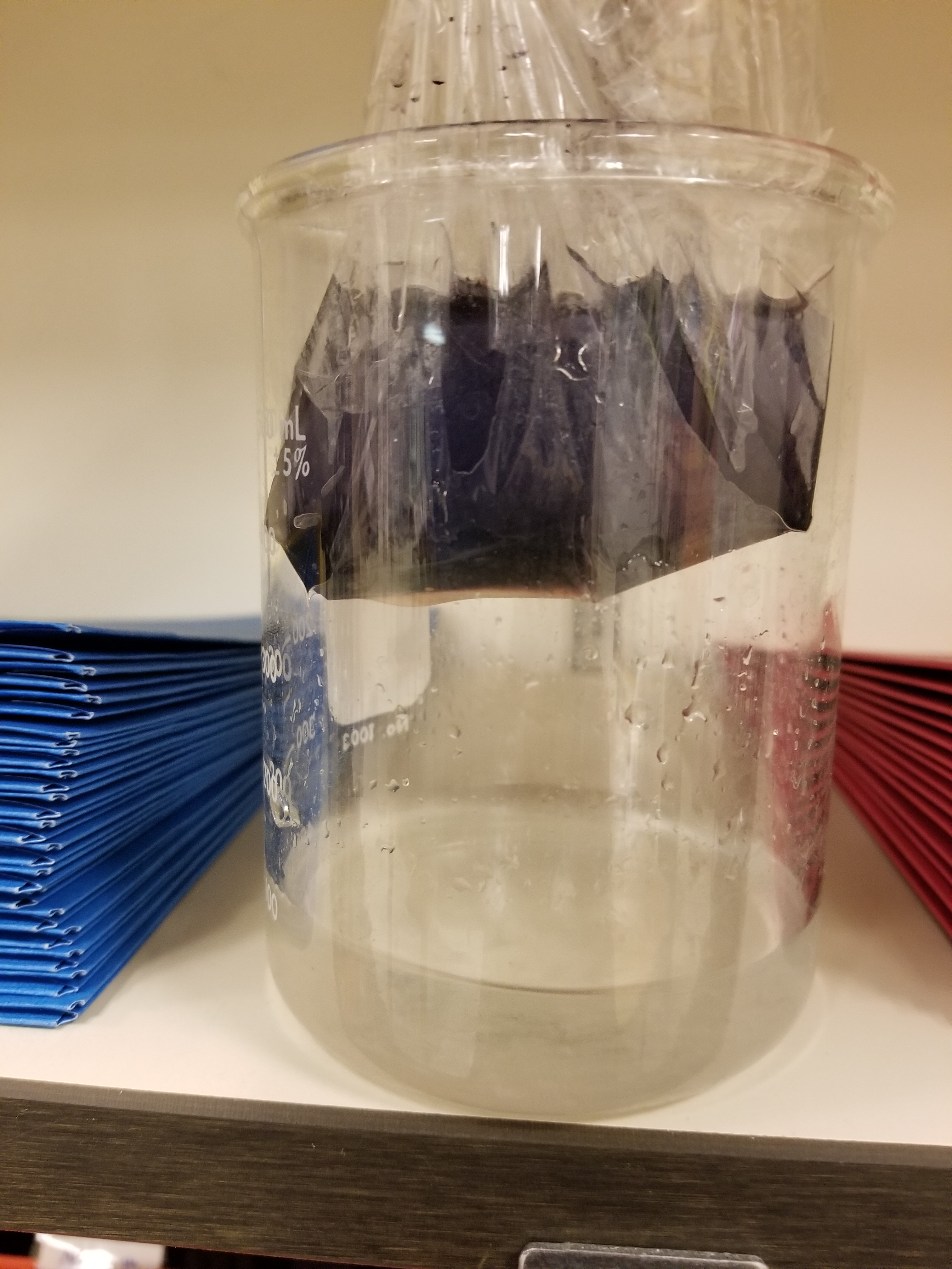 Diffusion Lab – Iodine and Cornstarch – Middle School Science Lessons